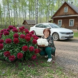 ����, ������, 65 ���