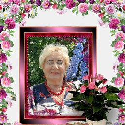 , 66, 