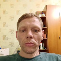  , 41, 