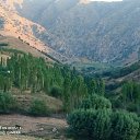 ���� ����, ������, 53 ���� - ��������� 5 ������ 2025