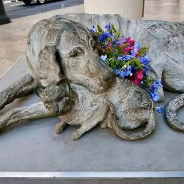 :) ,   .     ,   "",  ... - 3