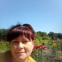 , 45 , 