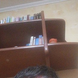 , 45, 