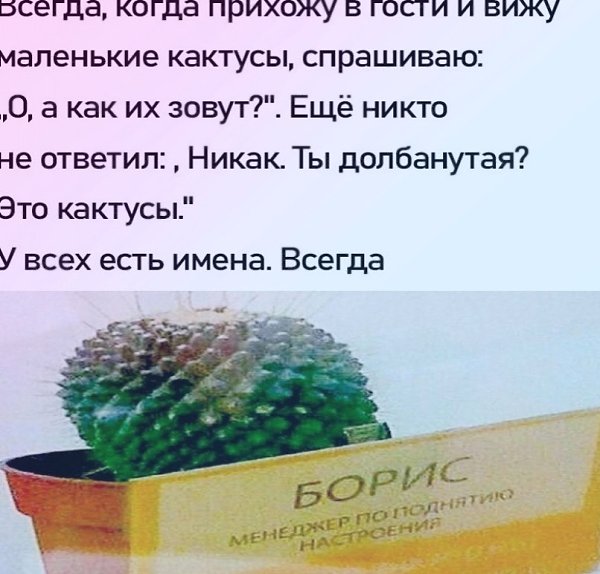 -eec-