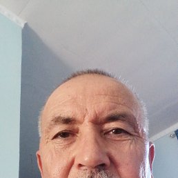 ���� �����, ������, 66 ��� - ��������� 29 ��� 2026