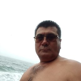 , 48, 