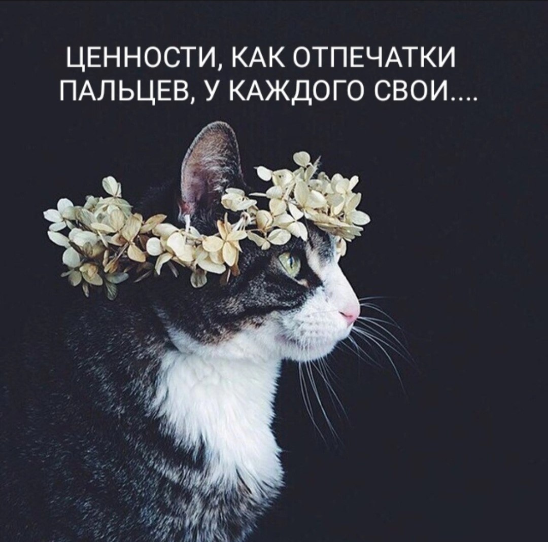 Александра - 27 июня 2025 в 00:26