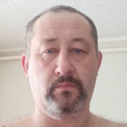 ������, �����, 46 ���