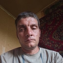 , 38, 