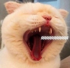 ��� ���� � ����� �� �� - 11 ������� 2025 � 13:03 - 4