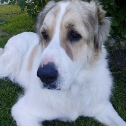 ����, �������, 23 ����