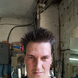 , 33 , 
