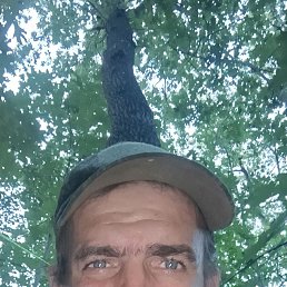 , 38, 