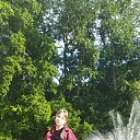 ���� �����, ������, 49 ��� - ��������� 4 ������ 2024