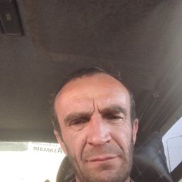  , 39 , 