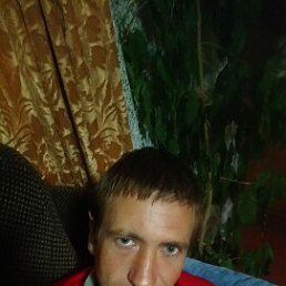 ����, 37 ���, �����