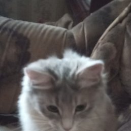 ���� ���������, ������, 47 ��� - ��������� 15 ������ 2024