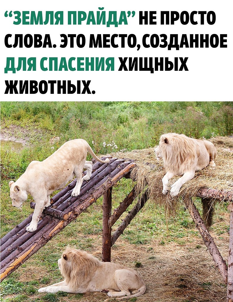  ! - 3