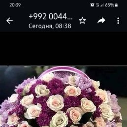 ���� ��������, ������, 46 ��� - ��������� 30 ������ 2024