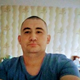 , 46, 