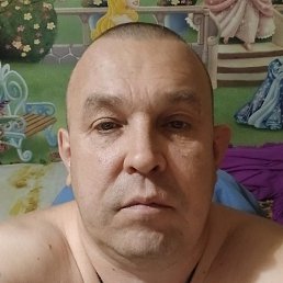 , , 51 