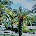 Olja, - -  17  2024    2023