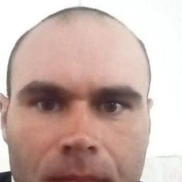 ������ ���������, ������, 40 ���