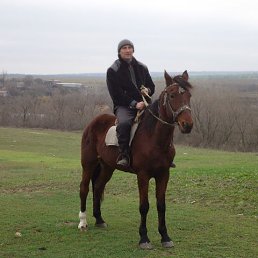 , 51, 