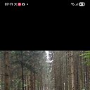 ���� Nicolai, ���������, 37 ��� - ��������� 4 ������� 2026 � ������ ���� ����������