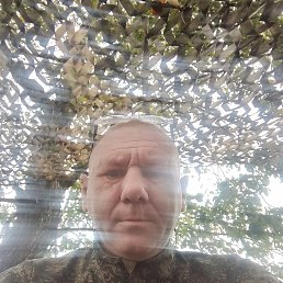  , 46, 