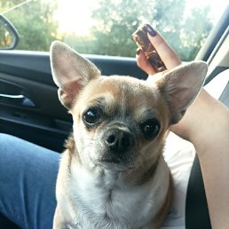 ���� ������, ������ ��������, 47 ��� - ��������� 8 �������� 2024