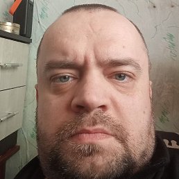 �������, �����-���������, 41 ���