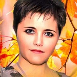 ����, ������, 44 ����