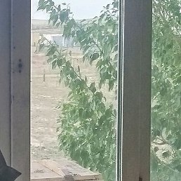 ������, �����������, 57 ���