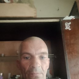 , 41, 