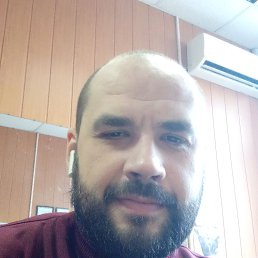 ���� ������, ���������, 40 ��� - ��������� 16 ������ 2023