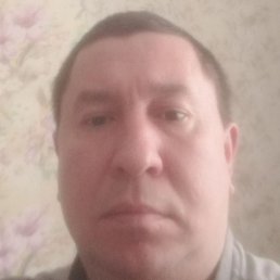 ���������, ���������, 41 ���