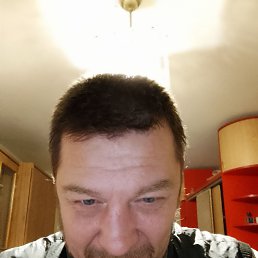 �����, 41 ���, ������