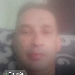 , , 51 