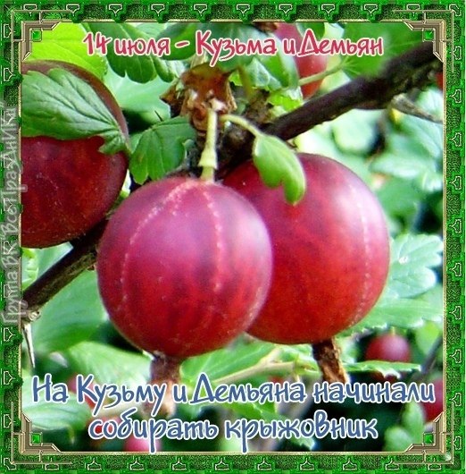 : , , , , , , , 