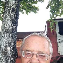, 63, 