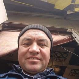, 35, 