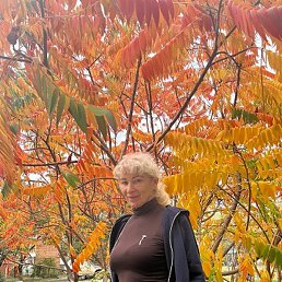 Liveranika, , 61 