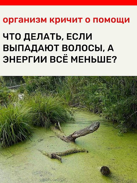 ���� ������� ����, � �� �������� �������� ����� ����� ����� ������������. ����������� ������, ...
