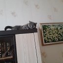 ���� ���������, ����� - ��������� 2 ������ 2025 � ������ ���� ����������