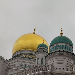 ���, ������, 43 ����