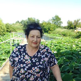 , 65, 