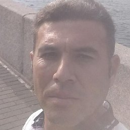 ����, �����-���������, 40 ���