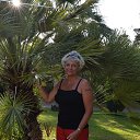 ���� �����, ������� - ��������� 14 ������ 2025 � ������ ���� ����������