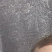 ���������, 40 ���, ������